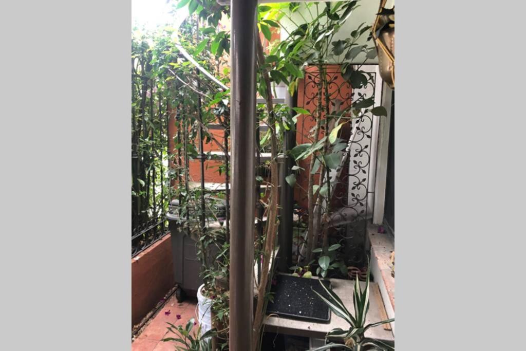 Amplia Habitacion Tipo Ejecutiva Con Bano Y Acceso Privados โทลุกา ภายนอก รูปภาพ